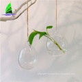 hanging egg shape glass home decor flower vase